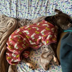 Dog & Cat Cozy Plush Fleece PJs, Llamas, XXX-Large